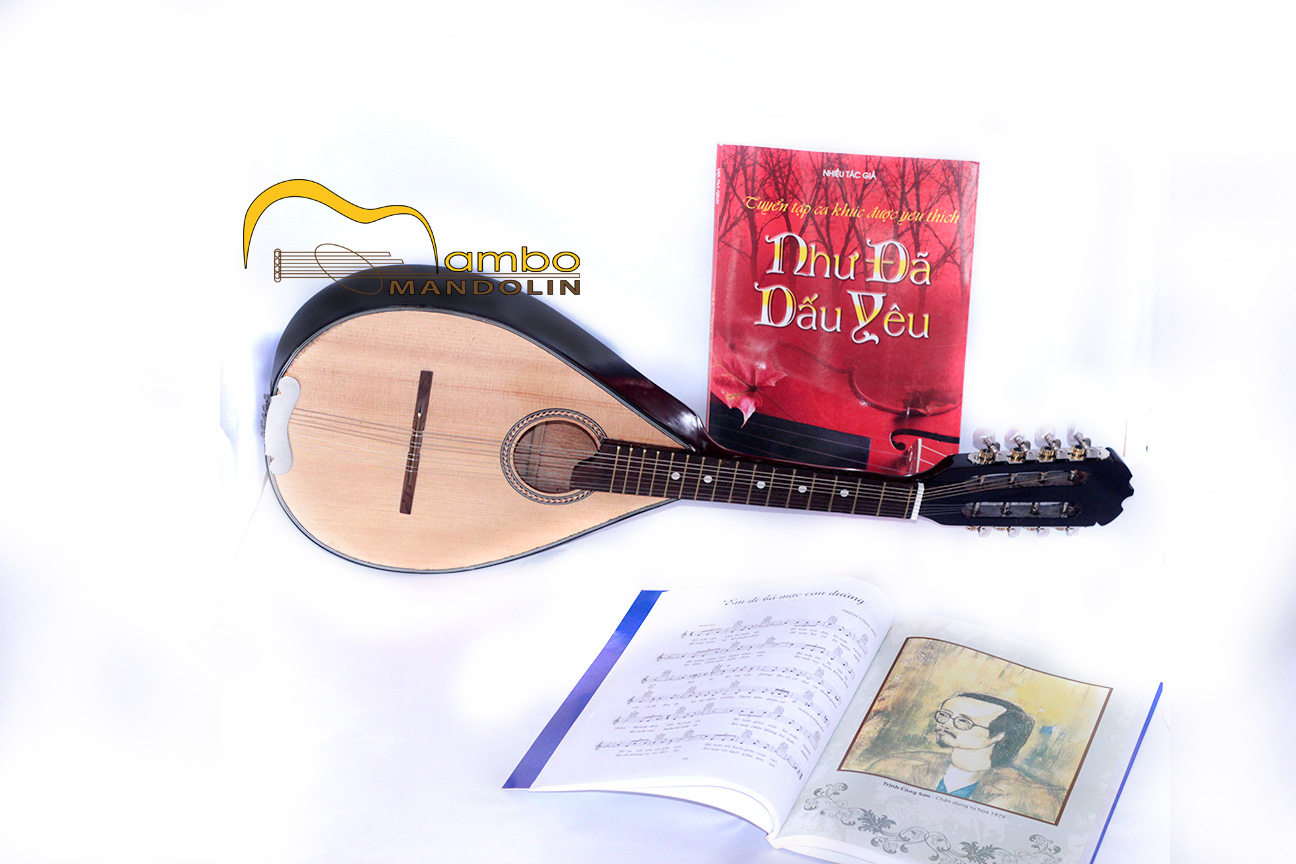 Đàn mandolin mambo giá rẻ