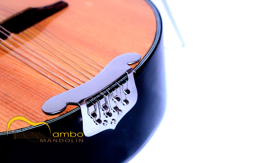 Cận cảnh neo đàn mandolin