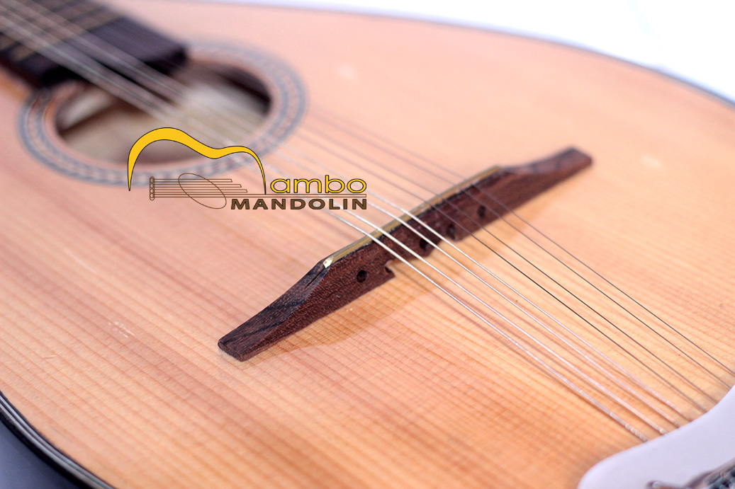 Ngựa đàn mandolin phải chắc chắn, không xê dịch.
