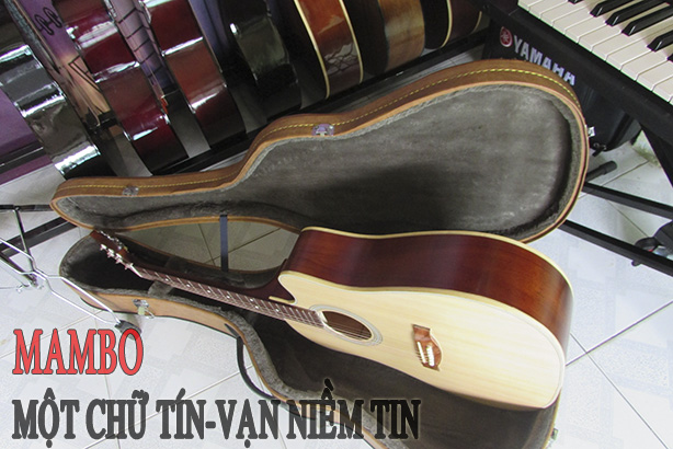 nơi bán đàn guitar giá rẻ tại tphcm
