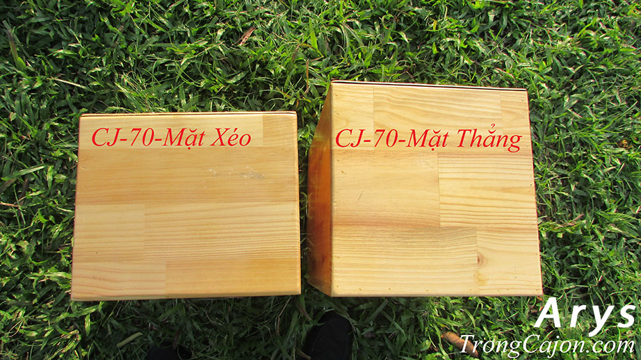 Nhìn Từ Trên CJ-70 mặt xéo và mặt thẳng-Cajon Arys